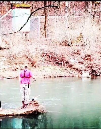 Clear Fork - Clear Fork, WV