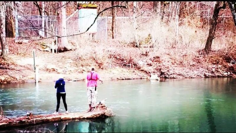 Clear Fork - Clear Fork, WV