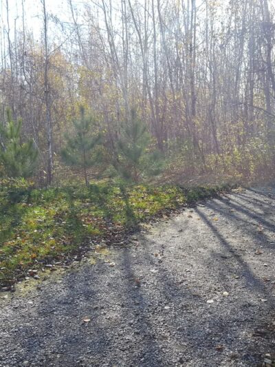 Clear Lake Township Park - Clear Lake, MN