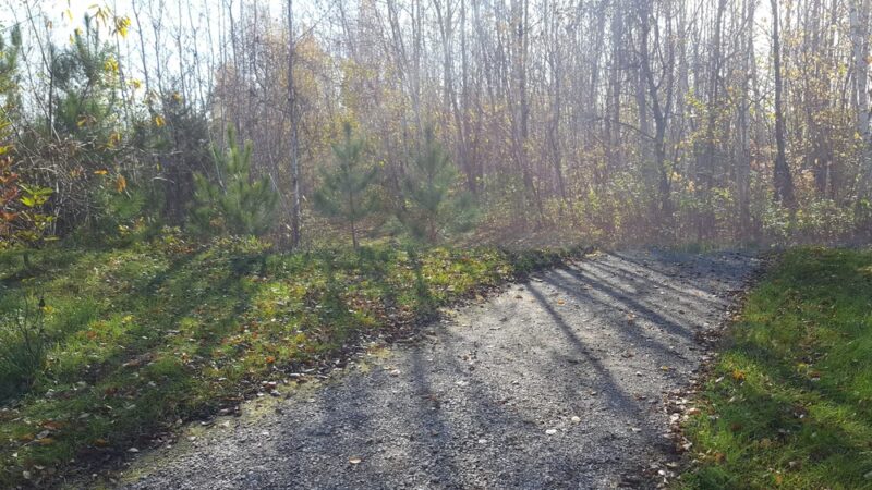 Clear Lake Township Park - Clear Lake, MN