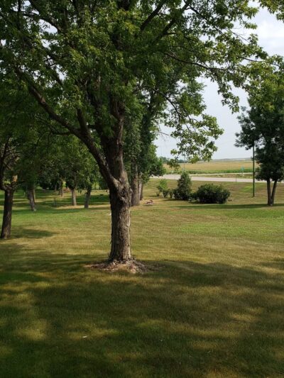 Clear lake city park - Clear Lake, SD