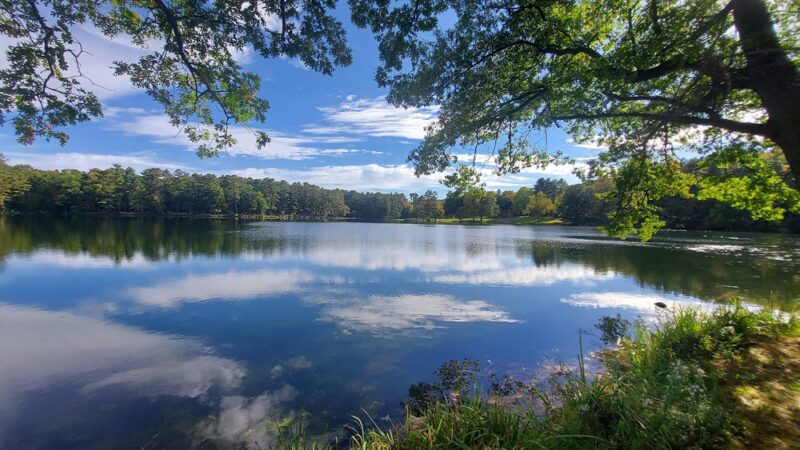 Clear Lake Park/ Pine Point - Clear Lake, WI