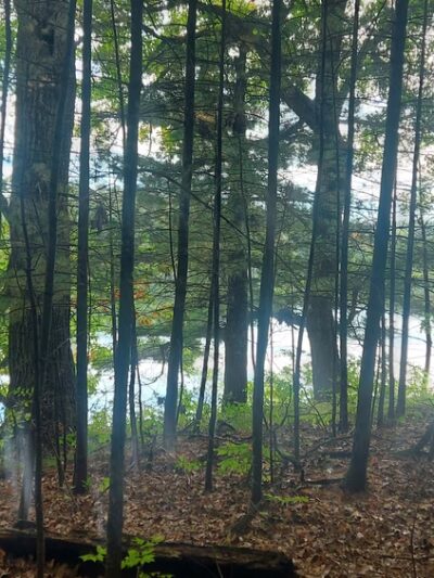 Clear Lake Park/ Pine Point - Clear Lake, WI