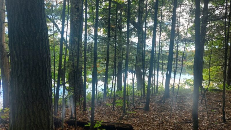 Clear Lake Park/ Pine Point - Clear Lake, WI