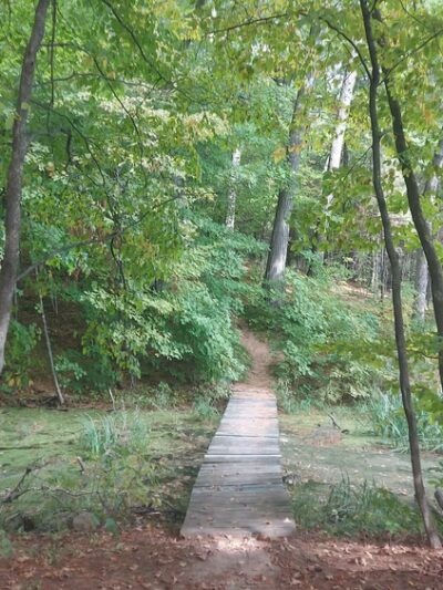 Clear Lake Park/ Pine Point - Clear Lake, WI