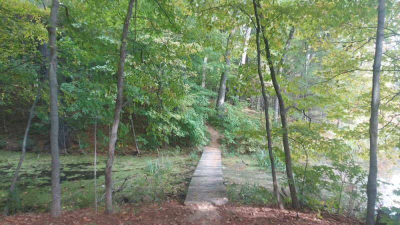 Clear Lake Park/ Pine Point - Clear Lake, WI