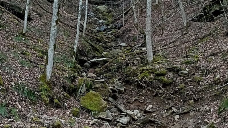 Elk River Rail Trail - Queen Shoals Trailhead - Clendenin, WV