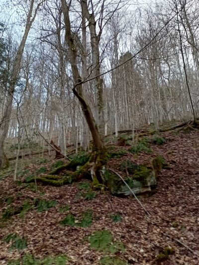 Elk River Rail Trail - Queen Shoals Trailhead - Clendenin, WV