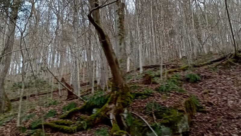 Elk River Rail Trail - Queen Shoals Trailhead - Clendenin, WV