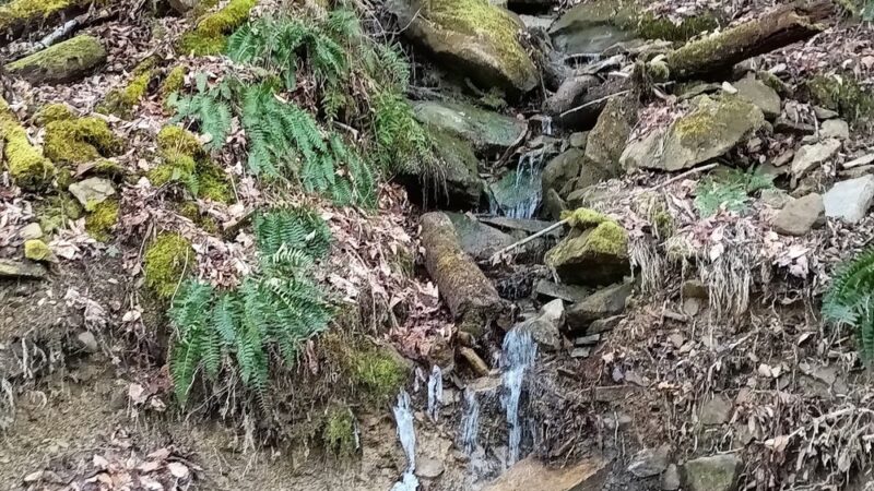 Elk River Rail Trail - Queen Shoals Trailhead - Clendenin, WV