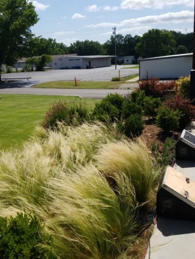 Arlington Park - Cleveland, OK