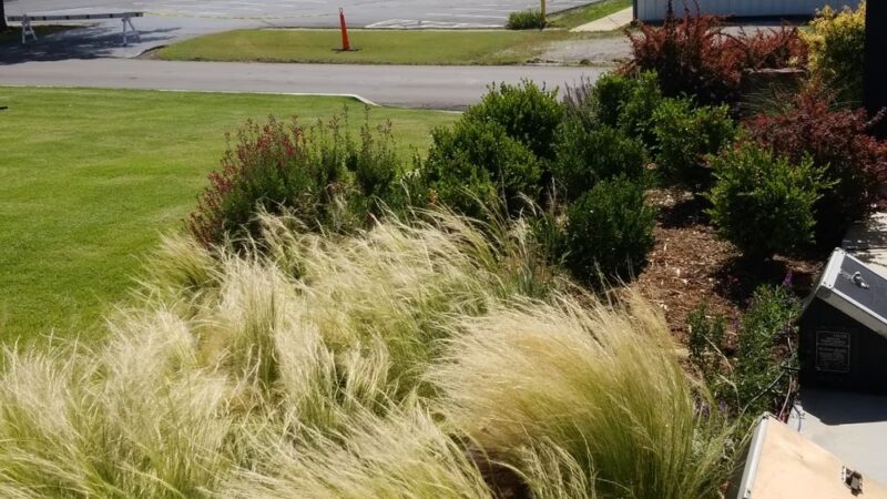 Arlington Park - Cleveland, OK