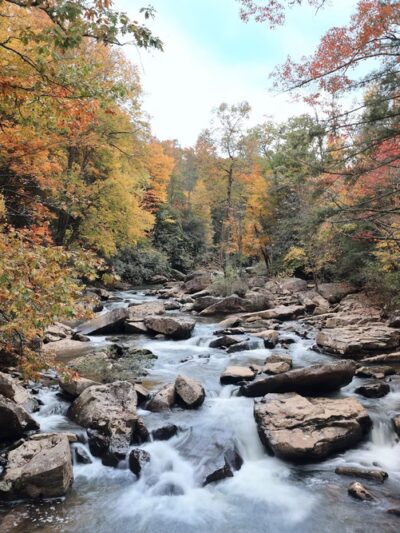 Babcock State Park - Clifftop, WV