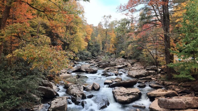 Babcock State Park - Clifftop, WV