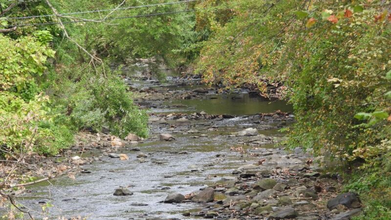 Gillespie Park - Clifton Heights, PA