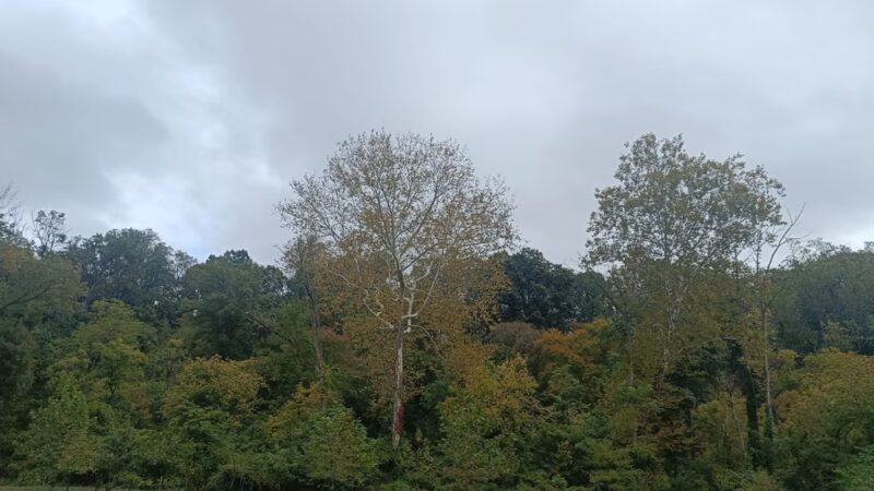 Gillespie Park - Clifton Heights, PA