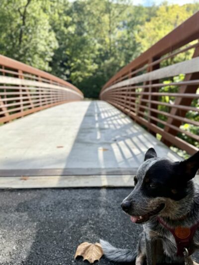Gillespie Park - Clifton Heights, PA