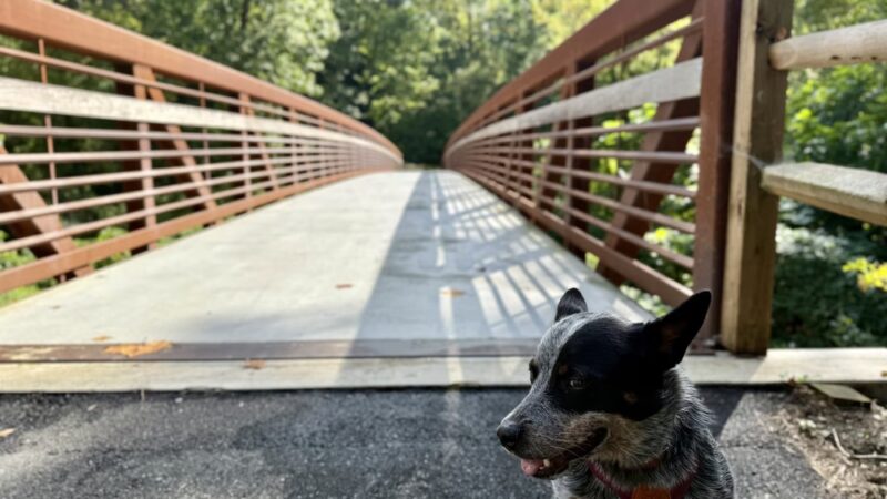 Gillespie Park - Clifton Heights, PA