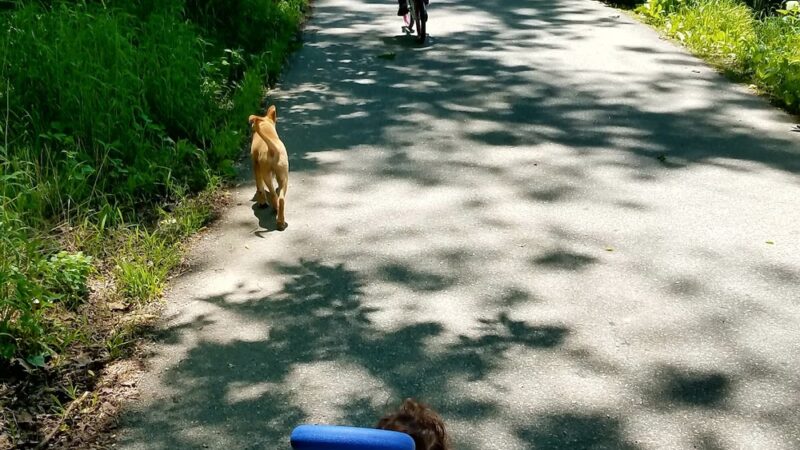 Scullion Recreation Area Park - Clifton Heights, PA