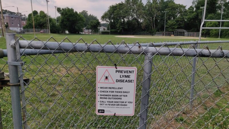 Scullion Recreation Area Park - Clifton Heights, PA