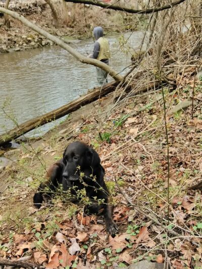 Scullion Recreation Area Park - Clifton Heights, PA