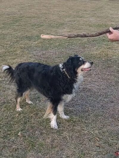 Albion Memorial Park - Clifton, NJ