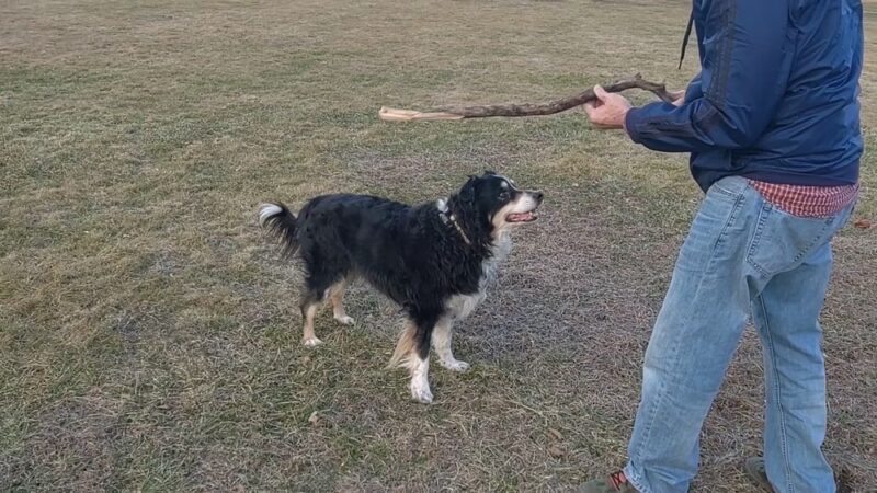 Albion Memorial Park - Clifton, NJ