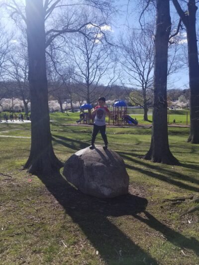 Albion Memorial Park - Clifton, NJ