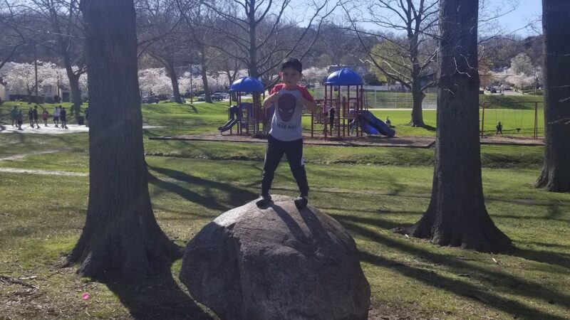 Albion Memorial Park - Clifton, NJ