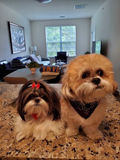 Fluffy Pets - Clifton, NJ