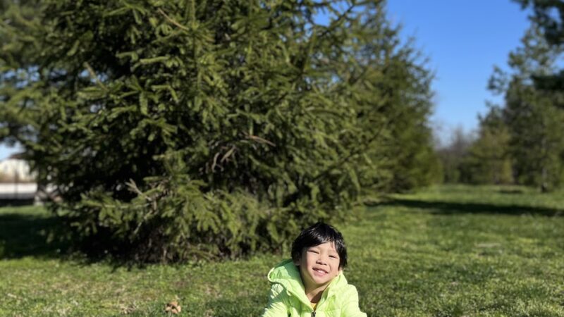 Knollcroft Park - Clifton, NJ