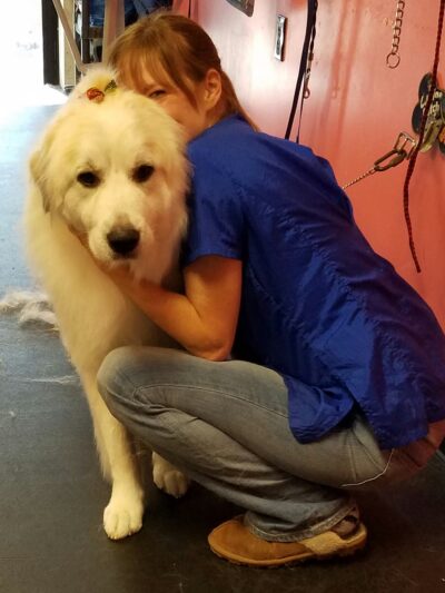 Lisa’s Pet Salon - Clifton, NJ