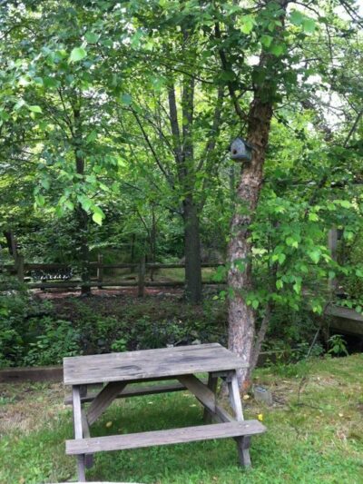 Morris Canal Park and Nature Reserve - Clifton, NJ