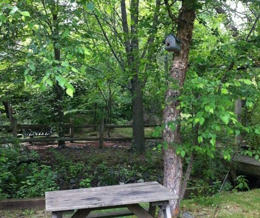 Morris Canal Park and Nature Reserve - Clifton, NJ