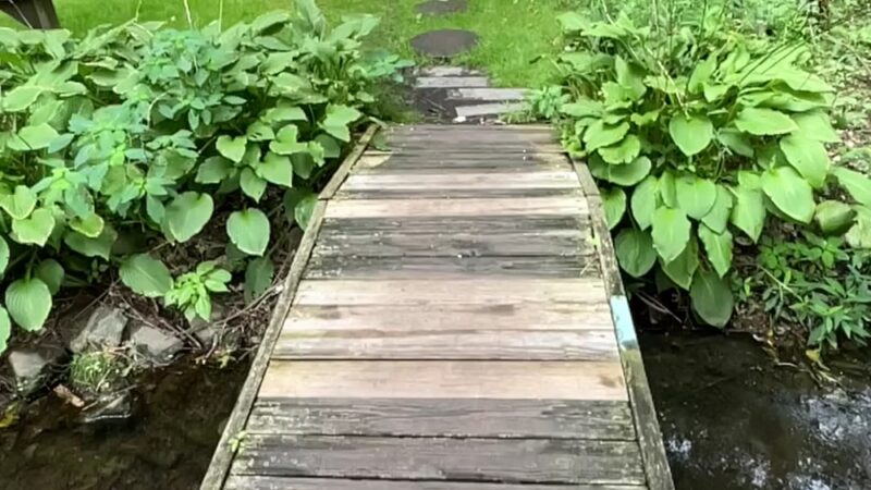 Morris Canal Park and Nature Reserve - Clifton, NJ