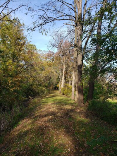 Morris Canal Park and Nature Reserve - Clifton, NJ