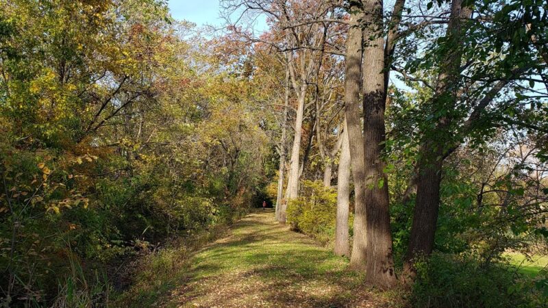 Morris Canal Park and Nature Reserve - Clifton, NJ