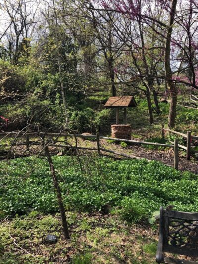 Morris Canal Park and Nature Reserve - Clifton, NJ