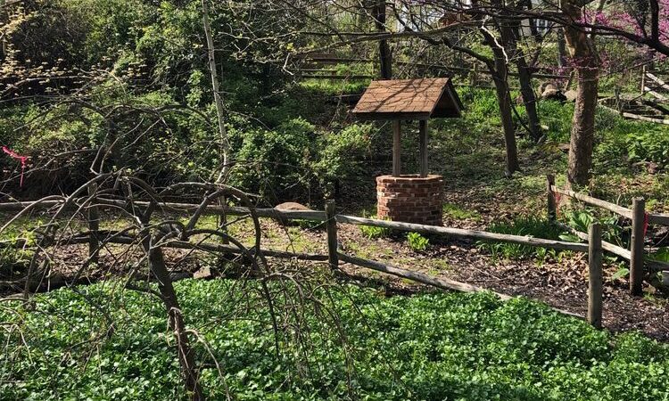 Morris Canal Park and Nature Reserve - Clifton, NJ