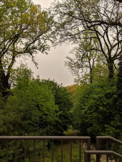 Mount Prospect Park - Clifton, NJ