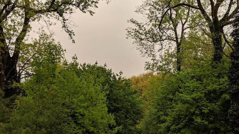 Mount Prospect Park - Clifton, NJ