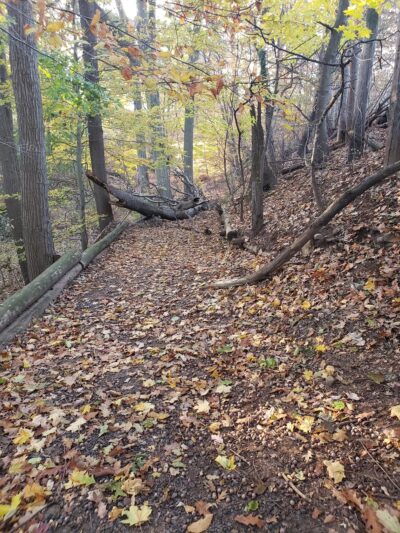 Ravine Park - Clifton, NJ