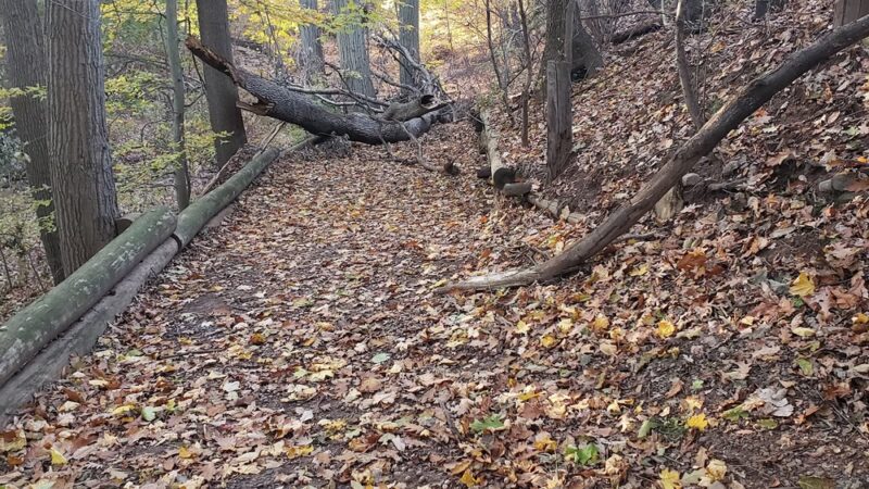 Ravine Park - Clifton, NJ