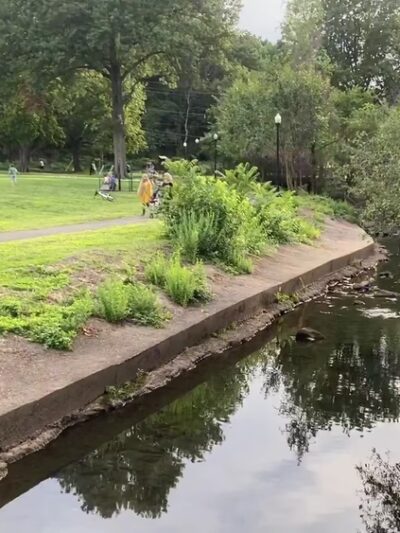 Weasel Brook Park - Clifton, NJ