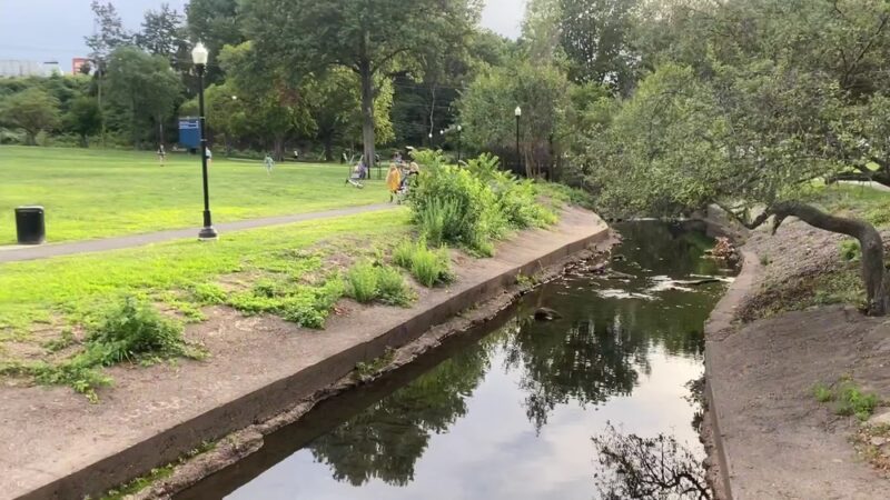 Weasel Brook Park - Clifton, NJ