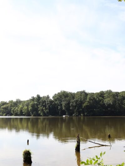 Bull Run Marina - Clifton, VA