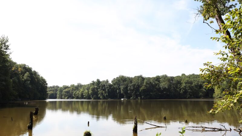 Bull Run Marina - Clifton, VA