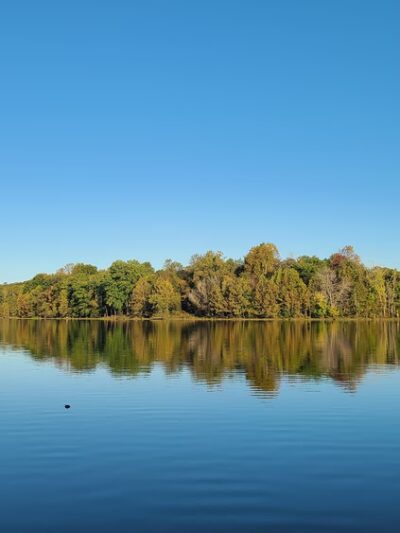 Bull Run Marina - Clifton, VA