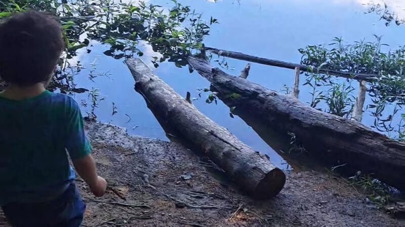 Bull Run Occoquan Trail - Clifton, VA