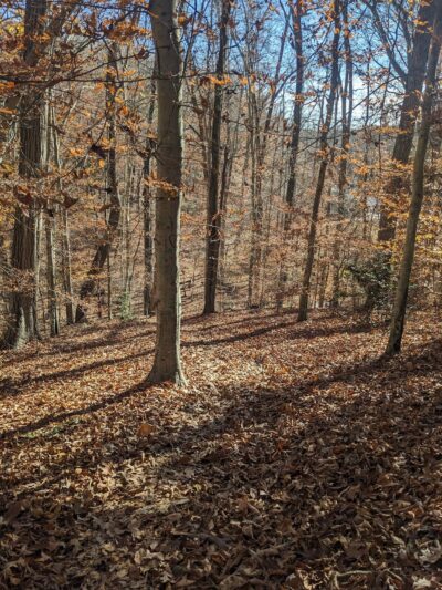 Bull Run Occoquan Trail - Clifton, VA